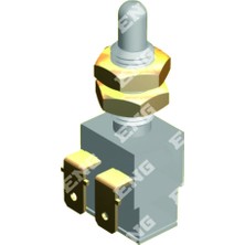 Eng 070302 Fren Otomatiği Renault 12 (Pls.)