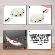Vice Avm Raid 2 Parça  Karınca Yemi (4915)