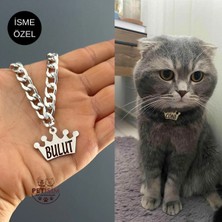 St. Morritz Isme Özel Kedi Tasması Paslanmaz Metal Isimli Tasma