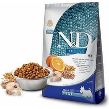 Bezos Ancestral Grain Morina Balıklı ve Portakallı Küçük Irk Düşük Tahıllı Yetişkin Köpek Maması 2,5 kg