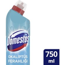 Bezos Çamaşır Suyu 750 ml Okaliptus