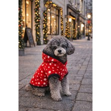St. Morritz Snow Fall Küçük Irk Köpek Poları