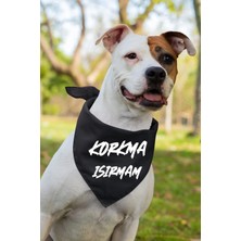 St. Morritz Neşeli Yazı Baskılı Köpek Fular Bandana