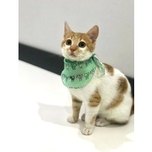 St. Morritz Kedi Tasması Kedi Fular Su Yeşili Kedi Desenli Ovarloklu Şifon Fular Her Beden Için Ayarlanabilir