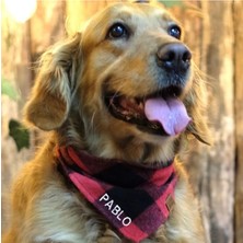 St. Morritz Isme Özel Köpek Bandana Isimli Köpek Fular Kişiselleştirilebilir Köpek Bandanası (Yünlü Ekoseli)