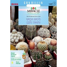 Miracle Tohum Karışık Kaktüs Bitkileri Çiçeği (100 Tohum)