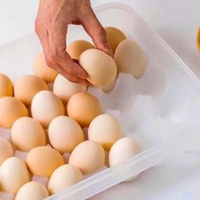 Enco Store 30LU Yumurta Saklama Kabı