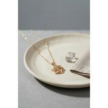 Enco Store 316L Çelik Zincir Gold Renk Yıldız Model Kadın Kolye