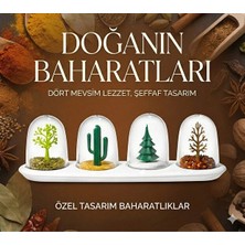 Zenviaa 4 Mevsim Temalı Tasarım Baharatlık Seti - Dekoratif Ağaç ve Kaktüs Figürlü Standlı