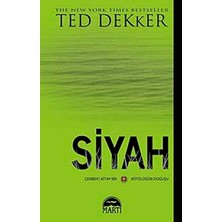 Martı Siyah Ted Dekker 2.el Çok Temiz Durumdadır