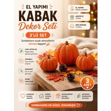 Kayra Aura 3 Lü Dekoratif Kabak