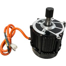 Caddemoto Motor Oem (60V 1500W) 3tekerleklı Kasalı E-Bıke