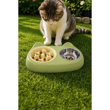 Weather Forecast Çelik 360 ml Plastik Yeşil Kaymaz Taban Yavaş Yeme Kedi Köpek Mama ve Su Kabı MT284YS