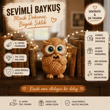 Kayra Aura Baykuş Biblo