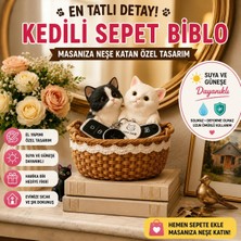 Kayra Aura Kedili Sepet Biblo