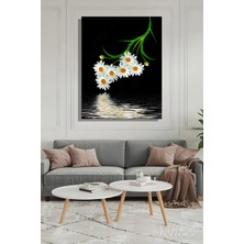 Şehber Su Yansıması Efektili Beyaz Papatyalar (Leucanthemum Vulgare) Dikey Kanvas Tablo Tekli 3771