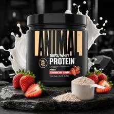 Universal Animal Whey Protein 454 gr - Çilek