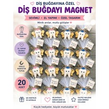Kayra Aura Diş Magnet