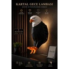 Alse 3D Kartal Figirlü Duvara Asmalı Gece Lambası