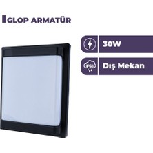 Zeyrise 30W Carpo Siyah Glop Armatür 3200K Sarı Işık