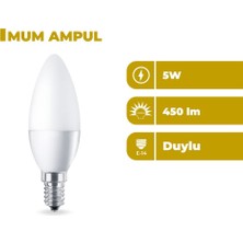 Zeyrise 5W LED Mum Ampul 6500K Beyaz Işık