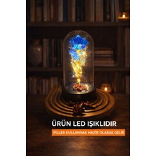 Relievo Sevgiliye Özel Hediye Fanus Içerisinde Dekoratif LED Işıklı Solmayan Mavi Sonsuzluk Gülü