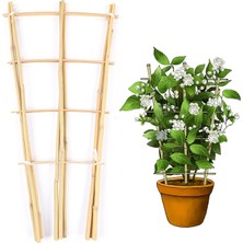 Doğal Bambu Yelpaze Şekilli Çit 60 cm (2 Ft) Bitkiler Tırmanma Bitkileri Için Çit Çiti Hoya B