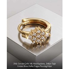 Begonia Accessories 316L Cerrahi Çelik Altın Kaplama Kararmaz Alerji Yapmaz Zirkon Taş Figür Unisex Tragus Helix Küpe PIERCING-238A-18