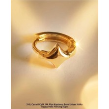 Begonia Accessories 316L Cerrahi Çelik Altın Kaplama Kararmaz Alerji Yapmaz Zirkon Taş Figür Unisex Tragus Helix Küpe PIERCING-238B-37