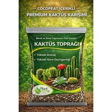 Plant Home Power Mix Bitki ve Kaktüs Toprağı Seti 10 L | Organik Cocopeatli | Salon Bitkileri ve Kaktüsler Için
