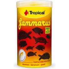 Tropical Gammarus Kaplumbağa ve Balık Için Tatlı Su Karidesi 100ML/12GR