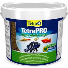 Tetra Pro Algae Crisps 100 gr Pul (Kovadan Bölme)