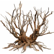 Nonamepetshop Ancient Roots Akvaryum Dekoru