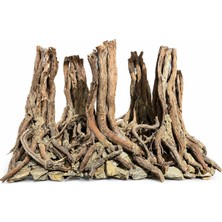 Nonamepetshop Dark Forest Roots Akvaryum Dekoru