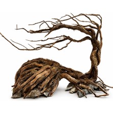Nonamepetshop Ancient Wind Tree Akvaryum Dekoru