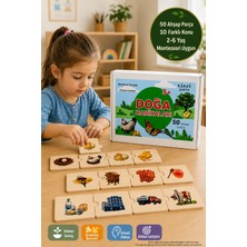 Toyfest Montessori Ahşap Puzzle Doğa Harikaları 50 Parça Yaşam Döngüsü Sıralama Eğitici Oyun