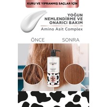 Bezos Ceylinn Yoğun Nemlendirme Etkili Şampuan 500 ml