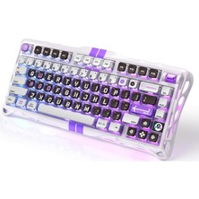 Esranın Dünyası Gravastar Mercury V75 He Hall Effect Manyetik Switch Gaming Klavye, Hot-Swappable, Rapid Trigger, 8000Hz, 0.125MS Ultra Düşük Gecikme, Kablolu, Rgb Işıklı, Ingilizce Q, Mecha Gray