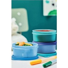Esranın Dünyası Tupperware Mini Saklama Kabı 250 ml 3'lü Set (Beslenme Kabı, Mama Saklama)