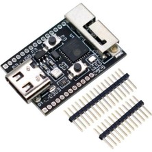 Esranın Dünyası Sanec ESP32-C6 N4 Wifi Bluetooth Geliştirme Kartı
