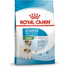 Esranın Dünyası Royal Canin Mini Starter Mother&babydog Köpek Maması, 3 kg