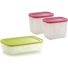 Esranın Dünyası Tupperware Alaska Set (1.1 Lt-1 Lt) Buzluk Saklama Kabı Hsgl