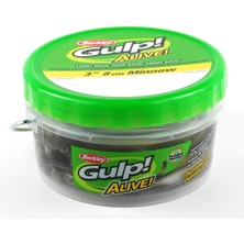 Esranın Dünyası Berkley Gulp Alive Minnow Sahte Balığı, Siyah Shad, 10 cm 22'li