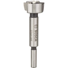 Esranın Dünyası Bosch Pro Matkap Ucu, 2608597111