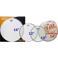 Esranın Dünyası Remo PP-2320-BA- Propack 10INC12INC16INC Ba Clear Şeffaf 14INC Ba Coated Kumlu Deri Seti