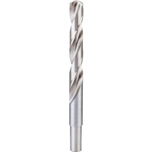 Esranın Dünyası Bosch 4x Pro Metal Hss-G Spiral Matkap Ucu Standart Uzunluk (Demir Olmayan Metaller Için, Çelik, Ø 14,00 Mm, Profesyonel Aksesuar Matkap/tornavida)