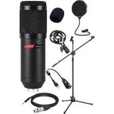 Esranın Dünyası BM800 Mikrofon + Shock Mount + Stand + Filtre + Dönüştürücü
