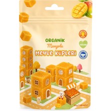 Altaylar Tedarik Natural Organik Mangolu Meyve Küpleri 30GR