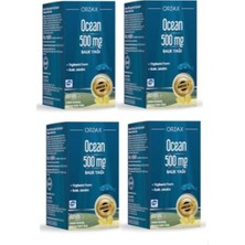 Balık Yağı 500 Mg 60 Kapsül 4 Adet 101746-4-1