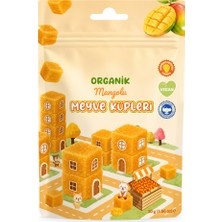Renas Store Natural Organik Mangolu Meyve Küpleri 30GR